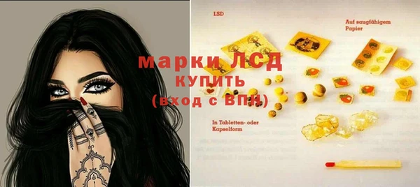 сатива Баксан