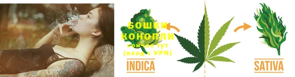 сатива Баксан