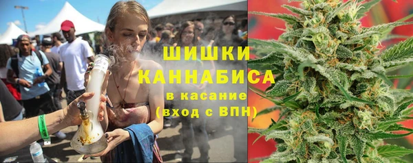сатива Баксан