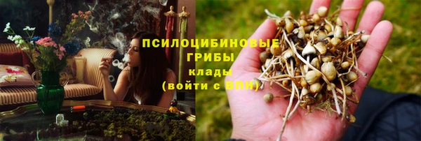 соль ск Пестово