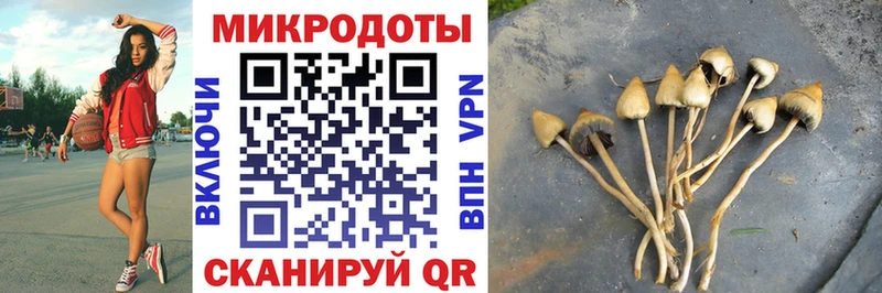 Галлюциногенные грибы MAGIC MUSHROOMS  Пучеж 